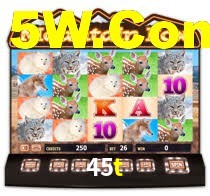 45t,45t.com